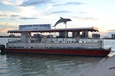 Encounters with Dolphins, Clearwater