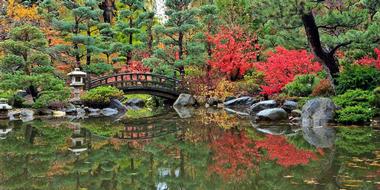 Day Trips from Chicago: Anderson Japanese Gardens (1 hour 40 minutes)