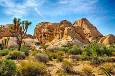 Joshua Tree National Park (2 hours and 30 minutes)