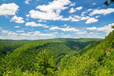 Day Trips from Pittsburgh: Pine Creek Gorge