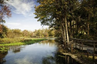 State Parks Near Me: Wekiwa Springs State Park
