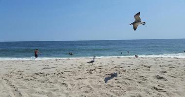 Point Pleasant Beach, New Jersey