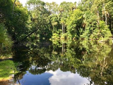 Day Trips from Orlando: Homosassa State Park