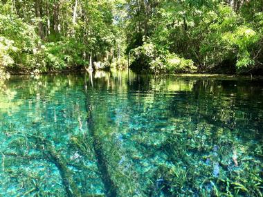 Day Trips from Orlando: Silver Springs State Park