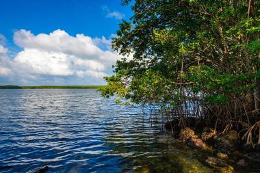 Places to Visit in Florida: Biscayne National Park