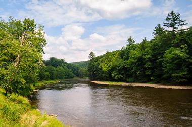 PA Places to Visit: Cook Forest State Park