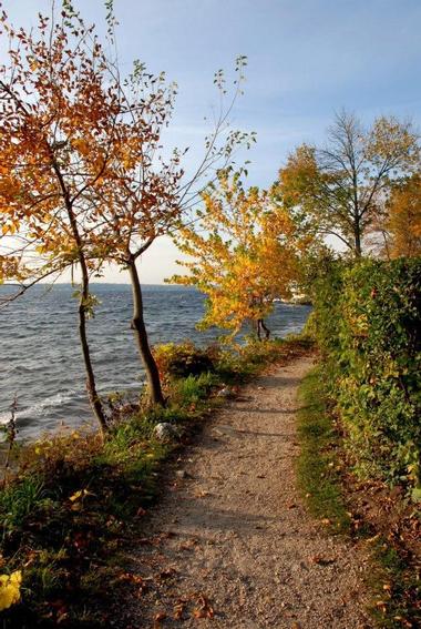 Place to Visit Near Me: Geneva Lake Shore Path