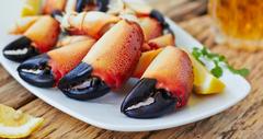 15 Best Seafood Restaurants in New Orleans