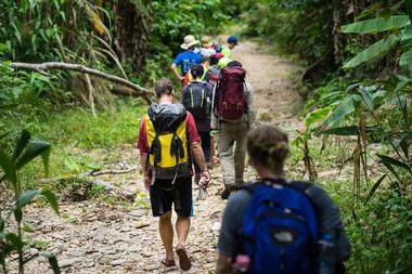 Footsteps Rainforest Hiking Tours
