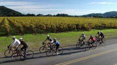 Napa Valley Winery Bike Tour