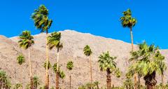 25 Things to do in Coachella Valley