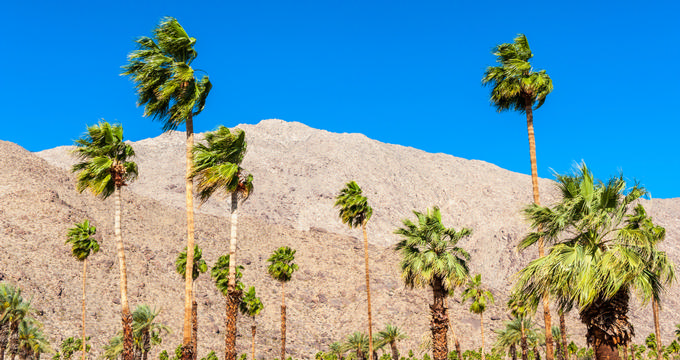 25 Things to do in Coachella Valley