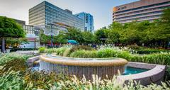 15 Best Things to Do in Crystal City, VA
