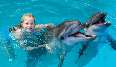 Dolphin Cove Cayman