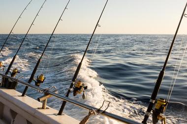 Drop Back Fishing Charters, Islamorada, Florida Keys