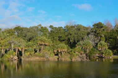 Romantic Things to Do in Jacksonville, Florida: Hanna Park