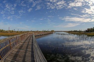 Castaway Island Preserve, Jacksonville, Florida