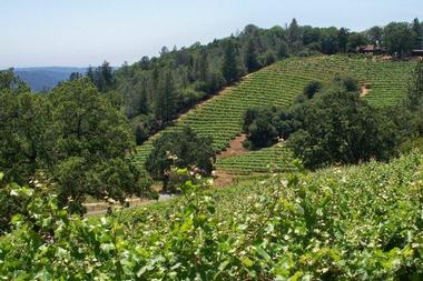 Wine Tours from Tahoe