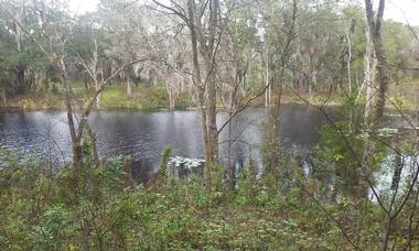 Things to Do Near Me: Tenoroc Fish Management Area, Lakeland, FL