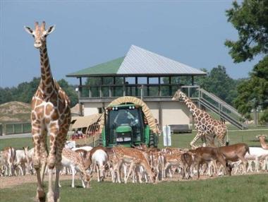 Global Wildlife Center