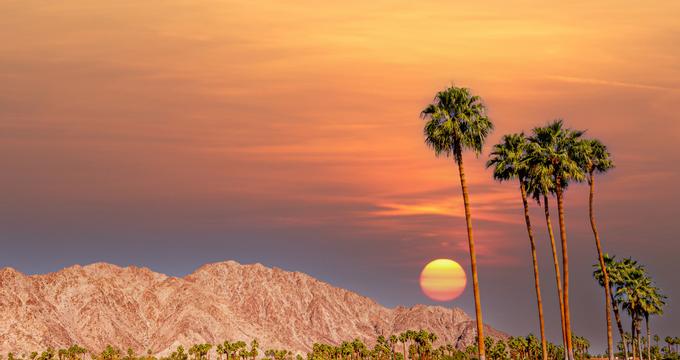 Best Things to Do in Palm Springs