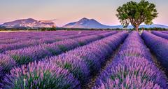 25 Best Things to Do in Provence, France