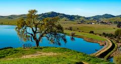 10 Best Things to Do in Vacaville, CA