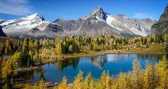 Romantic Trips for Couples in British Columbia