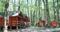 25 Best Cabin Camping in USA