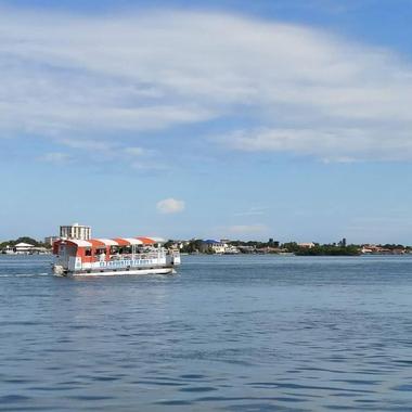 Things to Do Near Me Today: Clearwater Ferry