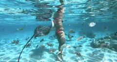 Snorkeling in the tropics