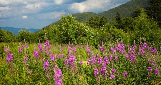 20 Most Beautiful Mountains in New Hampshire 