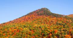 Most Beautiful Mountains in West Virginia