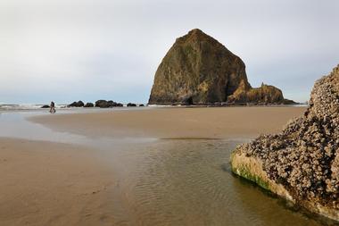 OR Places to Visit: Haystack Rock