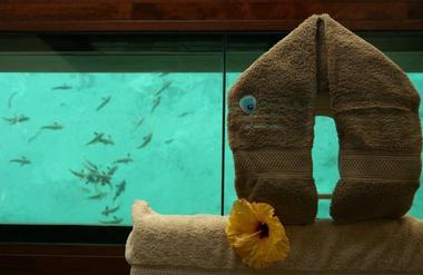Overwater Treatment Rooms - Bora Bora