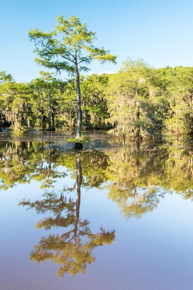 Lakes in Louisiana: Cross Lake