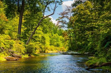 Day Trips from DC: Gunpowder Falls State Park (1 hour 10 min)