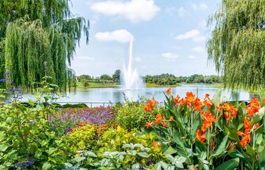 Chicago Botanic Garden (35 minutes)