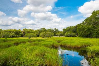 Myakka River State Park, Florida