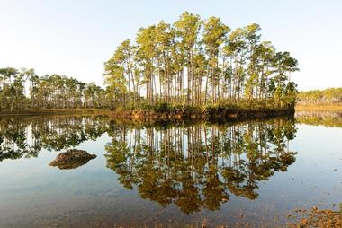 Florida State Parks: Hillsborough River State Park