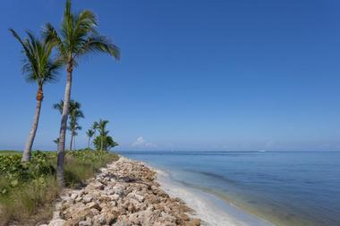 Day Trips from Naples: Captiva Island
