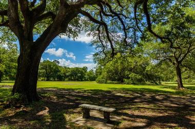Places to Visit in Louisiana: Audubon Park