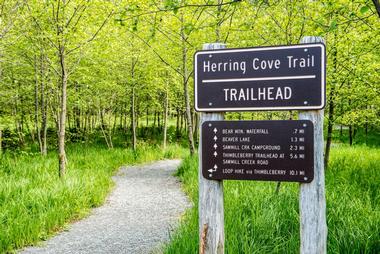 Herring Cove Trail
