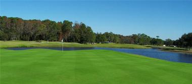 Things to Do in Palm Harbor: Lansbrook Golf Club