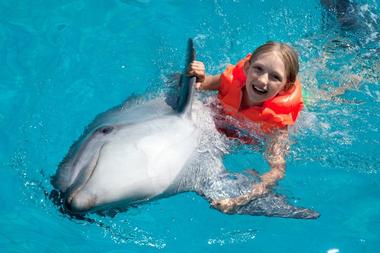 Dolphins Plus Bayside, Key Largo, Florida