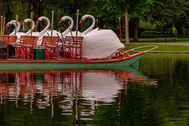 The Swan Boats of Boston