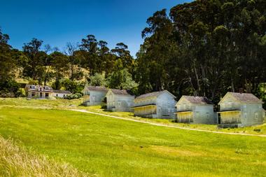 Things to Do in Tiburon, California: Camp Reynolds