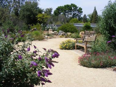 University of California Riverside Botanic Gardens