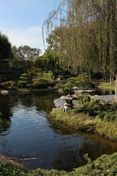 Things to Do in Long Beach: Earl Burns Miller Japanese Garden
