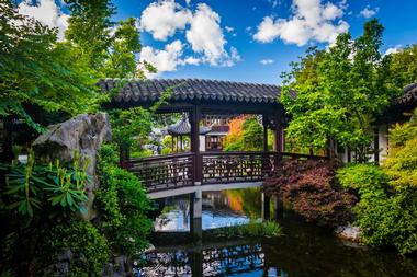 Things to Do in Oregon: Lan Su Chinese Garden